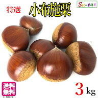10月上旬〜中旬　特選 小布施栗 3キロ