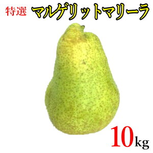 9{`10{ I m }Qbg@}[ _ 10L@r[200~N[|