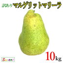 9月下旬〜10月上旬　マルゲリットマリーラ　訳あり 洋梨 10キロ