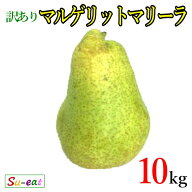 9月下旬〜10月上旬　マルゲリットマリーラ　訳あり 洋梨 10キロ