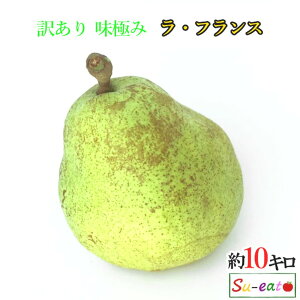 10{@EtX 󂠂 m _ 10L r[200~N[|