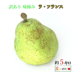 ラ フランス 梨の人気商品 通販 価格比較 価格 Com