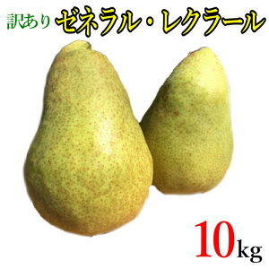 10{`{@[lEN[N 󂠂 m _ 10L r[200~N[|