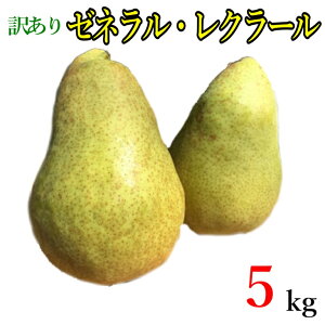 10{`{@[lEN[N 󂠂 m _ 5L r[200~N[|