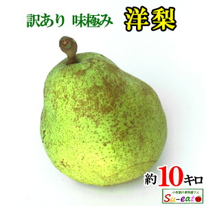 {10%OFF @9{`10{@}Qbg}[@󂠂 m 쌧Y 10L@r[200~N[|