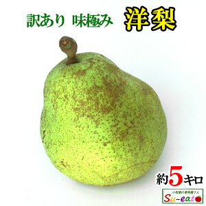 9�����{�`10����{�@�}���Q���b�g�}���[���@�󂠂� �m�� ���쌧�Y 5�L��