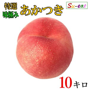 8����{�`���{�@���I �������@�� ���_�� ���쌧�Y 10�L��