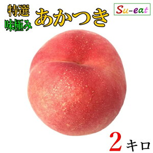 8����{�`���{�@���I �������@�� ���_�� ���쌧�Y 2�L��