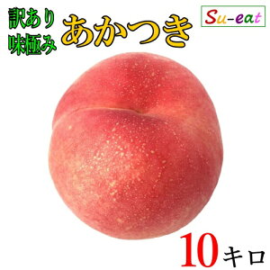 8����{�`���{�@�������@���@�󂠂� ���_�� ���쌧�Y 10�L��
