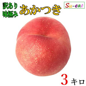 8����{�`���{�@�������@���@�󂠂� ���_�� ���쌧�Y 3�L��