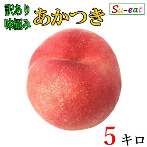 8����{�`���{�@�������@���@�󂠂� ���_�� ���쌧�Y 5�L��