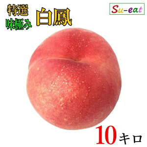 8����{�`���{�@���I ���P�@�� ���_�� ���쌧�Y 10�L��