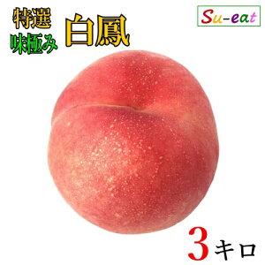 8����{�`���{�@���I ���P�@�� ���_�� ���쌧�Y 3�L��