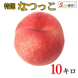 8����{�`���{�@���I�@�Ȃ��� �� ���_�� ���쌧�Y 10�L��