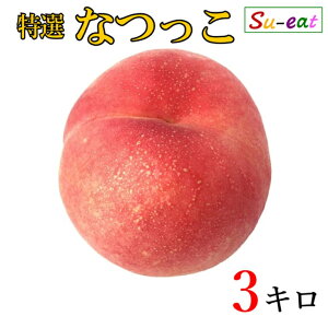 8����{�`���{�@���I�@�Ȃ��� �� ���_�� ���쌧�Y 3�L��