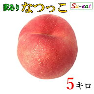 8月中旬〜下旬　なつっこ　訳あり 桃 減農薬 長野県産 5キロ