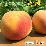 8月中旬〜下旬　黄金桃 訳あり　減農薬 長野県産 5キロ