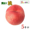 本日限定10%OFF 8月上旬〜中旬　あかつき　桃　訳あり 減農薬 長野県産 5キロ