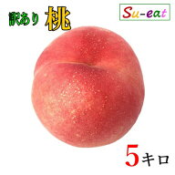 本日限定10%OFF 8月中旬〜下旬　なつっこ　桃　訳あり 減農薬 長野県産 5キロ