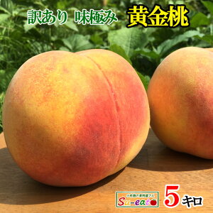8�����{�`���{�@������ �󂠂�@���_�� ���쌧�Y 5�L��
