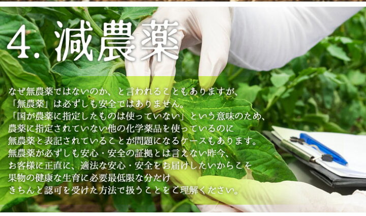 楽天市場】小布施栗 2キロ レビューを書いたら200円クーポン : Su-eat Farm Obuse 楽天市場】小布施栗 2キロ レビューを書いたら200円クーポン : Su-eat Farm Obuse