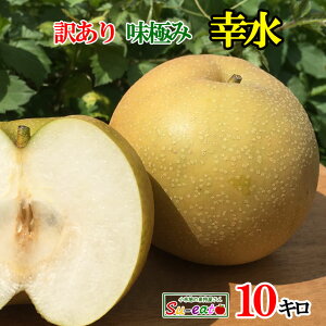 9����{�`���{�@�K���@�󂠂� �� ���_�� ���쌧�Y 10�L��
