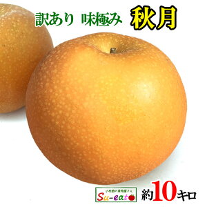 9{`10{@H  󂠂 _ n 쌧Y@11L@r[200~N[|