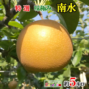 9{`{@I 쐅 @_ 쌧Y@5L@r[200~N[|