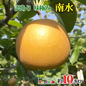 9{`{@쐅@@󂠂@_ 쌧Y 10L@r[200~N[|