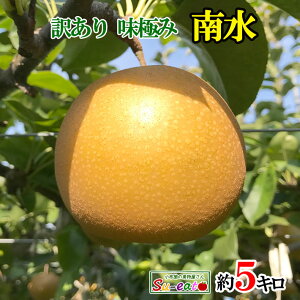 9{`{@쐅@@󂠂@_ 쌧Y 5L@r[200~N[|