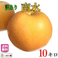 本日限定10%OFF 9月中旬〜下旬　南水　梨　訳あり　減農薬 長野県産 10キロ