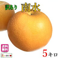 本日限定10%OFF 9月中旬〜下旬　南水　訳あり 梨 減農薬 長野県産　5キロ