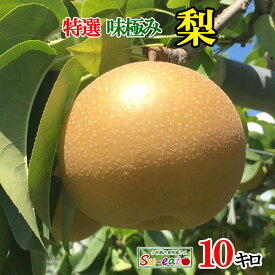 本日限定10%OFF 　9月中旬〜下旬　特選 梨 南水　減農薬 長野県産 10キロ　レビューを書いたら200円クーポン