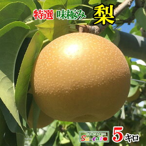 9{@I  쐅@_ 쌧Y 5L@r[200~N[|