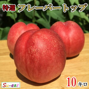 8�����{�`���{ ���I�l�N�^���� �t���[�o�[�g�b�v�g�b�v ���_�� ���쌧�Y 10�L��