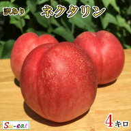本日限定10%OFF 　7月中旬〜下旬　ネクタリン スイートトップ　訳あり 減農薬 長野県産 4キロ