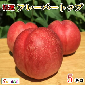 8�����{�`���{ ���I�l�N�^���� �t���[�o�[�g�b�v ���_�� ���쌧�Y 5�L��