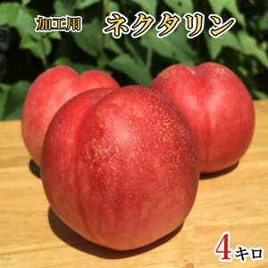 7�����{�`8����{�@���H�p �l�N�^���� ���_�� ���쌧�Y 4�L��