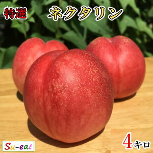 7�����{�`8����{�@���I �l�N�^���� ���_�� ���쌧�Y 4�L��