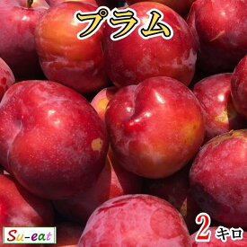 8月上旬〜中旬　プラム すもも 長野県産 2キロ
