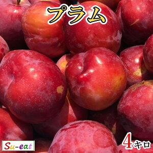 �{������10%OFF �@7����{�`���{�@��Α����@�v���� ������ ���쌧�Y 4�L��