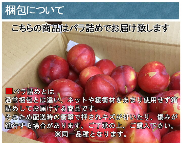 楽天市場】紅りょうぜん プラム すもも 長野県産 3キロ レビューを書いたら200円クーポン : Su-eat Farm Obuse