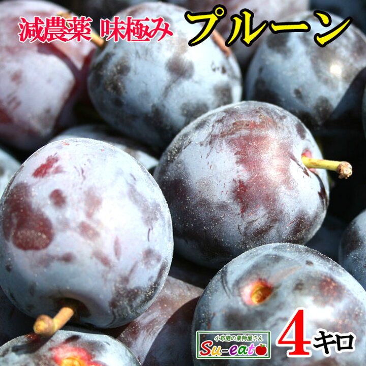 楽天市場】7月中旬〜下旬 アーリーリバー 生プルーン 減農薬 長野県産 