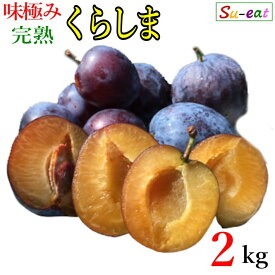 9月上旬〜中旬　生プルーン　くらしま　 減農薬 長野県産 2キロ　レビューを書いたら200円クーポン