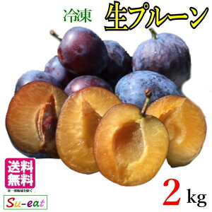 �Ⓚ ���v���[�� ���_�� ���쌧�Y 2�L��