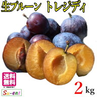 8月上旬〜中旬　生プルーン トレジティ 長野県産 2キロ