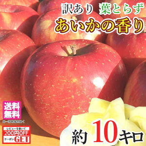 11{`{@̍ 󂠂@ _ 10L@r[200~N[|