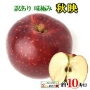9月下旬〜10月上旬 秋映　訳あり りんご 減農薬 長野県産 10キロ レビューを書いたら200円クーポン