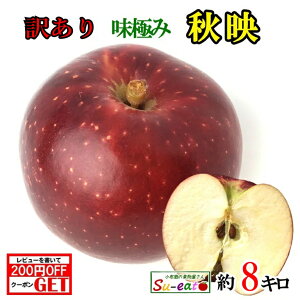 9{`10{ Hf@󂠂  _ 쌧Y 8L r[200~N[|