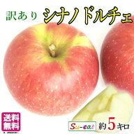 9月上旬〜中旬　シナノドルチェ　訳あり りんご　減農薬 長野県産 5キロ